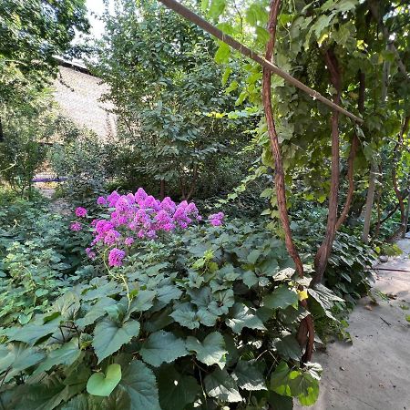 Lovely Home Oş Exterior foto